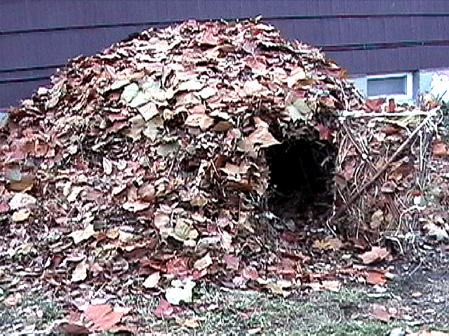  How to: Build The Debris Hut 