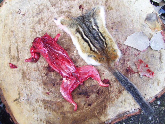  How to: Field Dressing Small-Game 