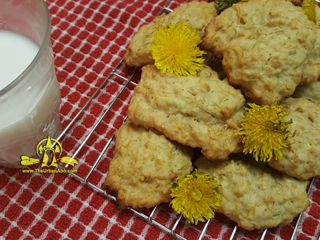  How to: Make Dandelion Cookies 