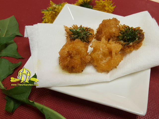  How to: Make Dandelion Fritters  