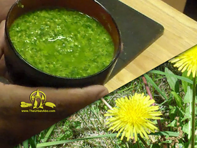  How to: Make Dandelion Pesto 