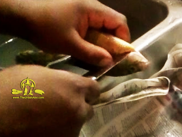  How to: Clean Fish: Head-on or Head-off...Two Methods 