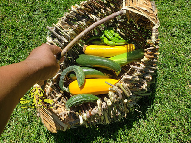  How to: Make a Melon Basket 