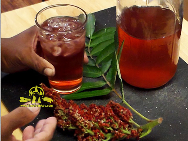  How to: Make Sumac-Ade 