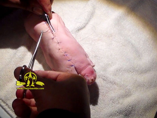  How to: Resilient Living:  Emergency Medicine - Suture Practice w/ The Urban-Aboriginal 