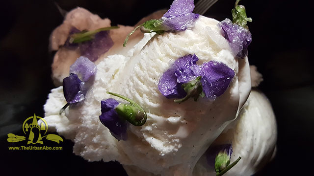  How to: Make Candied Violet Flowers 