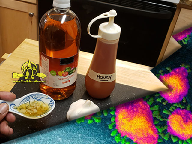  How to: Making Honeygar The Anti-Viral Elixir   